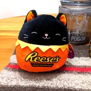 Reese's squishmallow cat